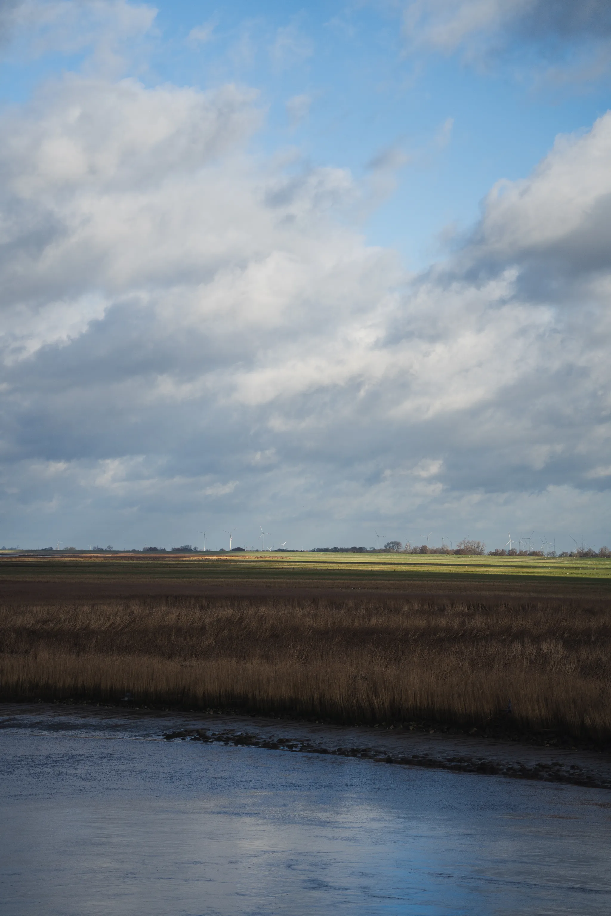 Autumn DSC09780