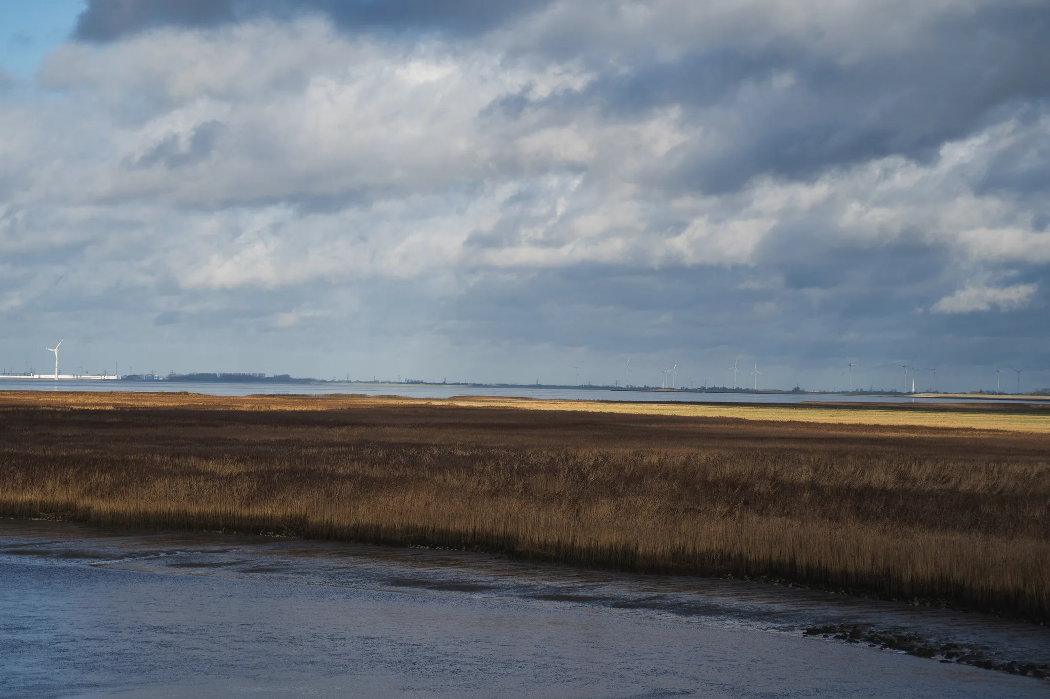 Autumn on the Coast