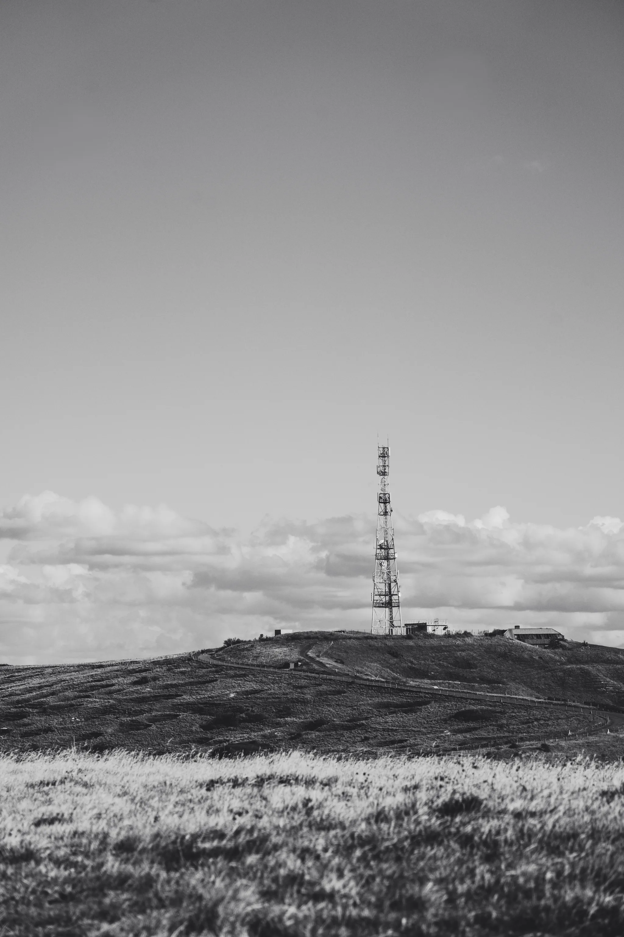 Radio mast on the hilltop above long grass, black and white