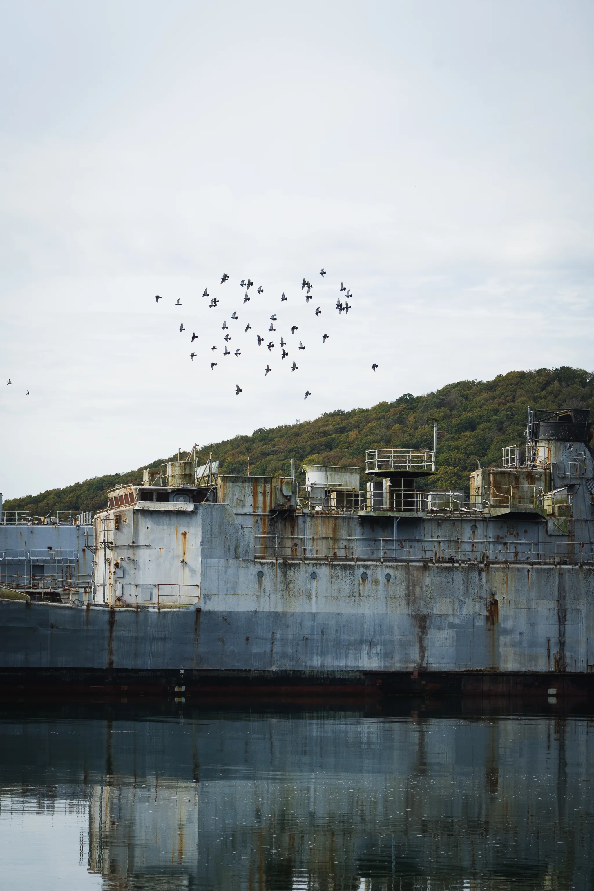 Rusting grey warship hull in the Aulne, a flock of birds over the wooded hill behind