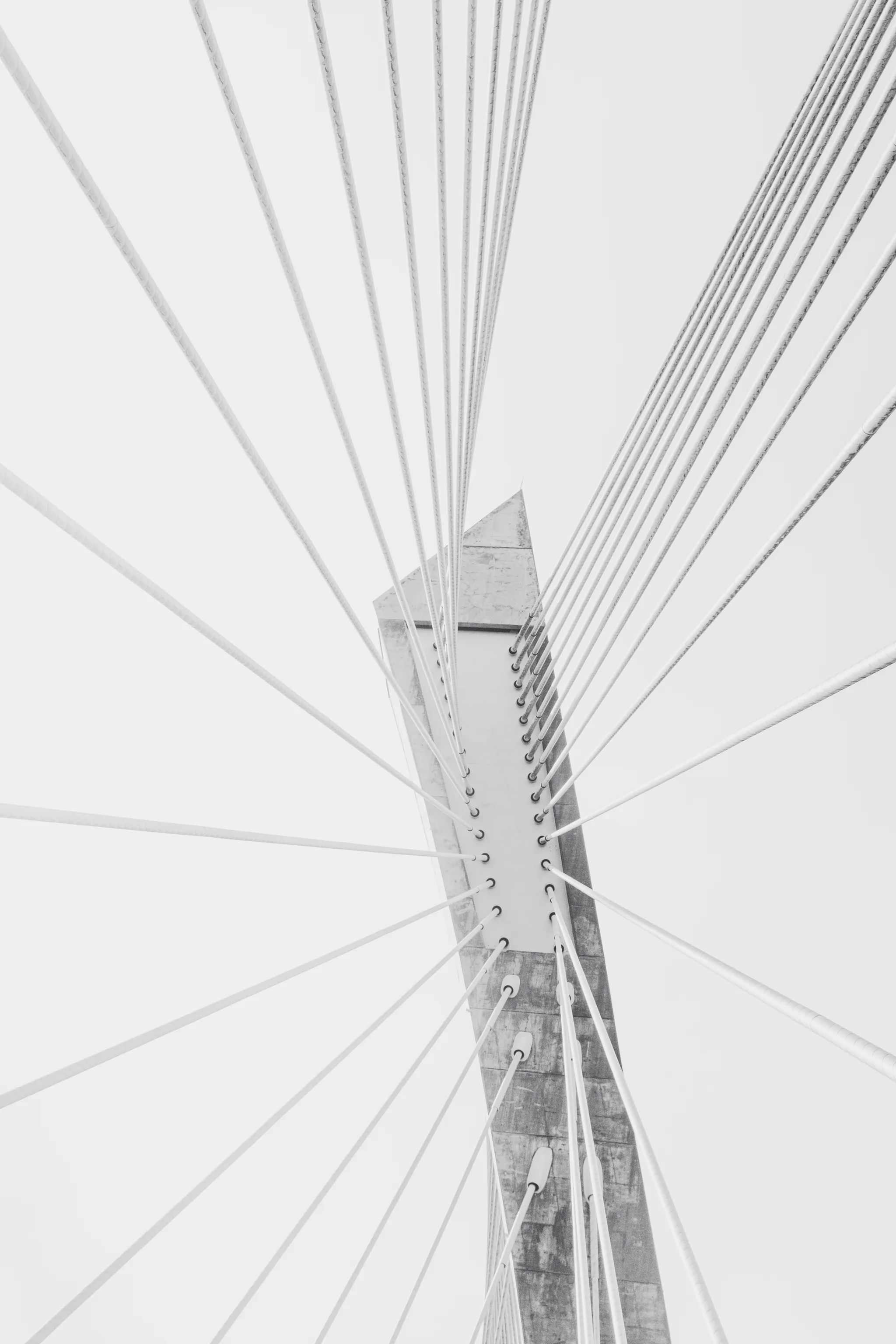 Pylon of the Térénez bridge from below, stay cables fanning out against a white sky, black and white
