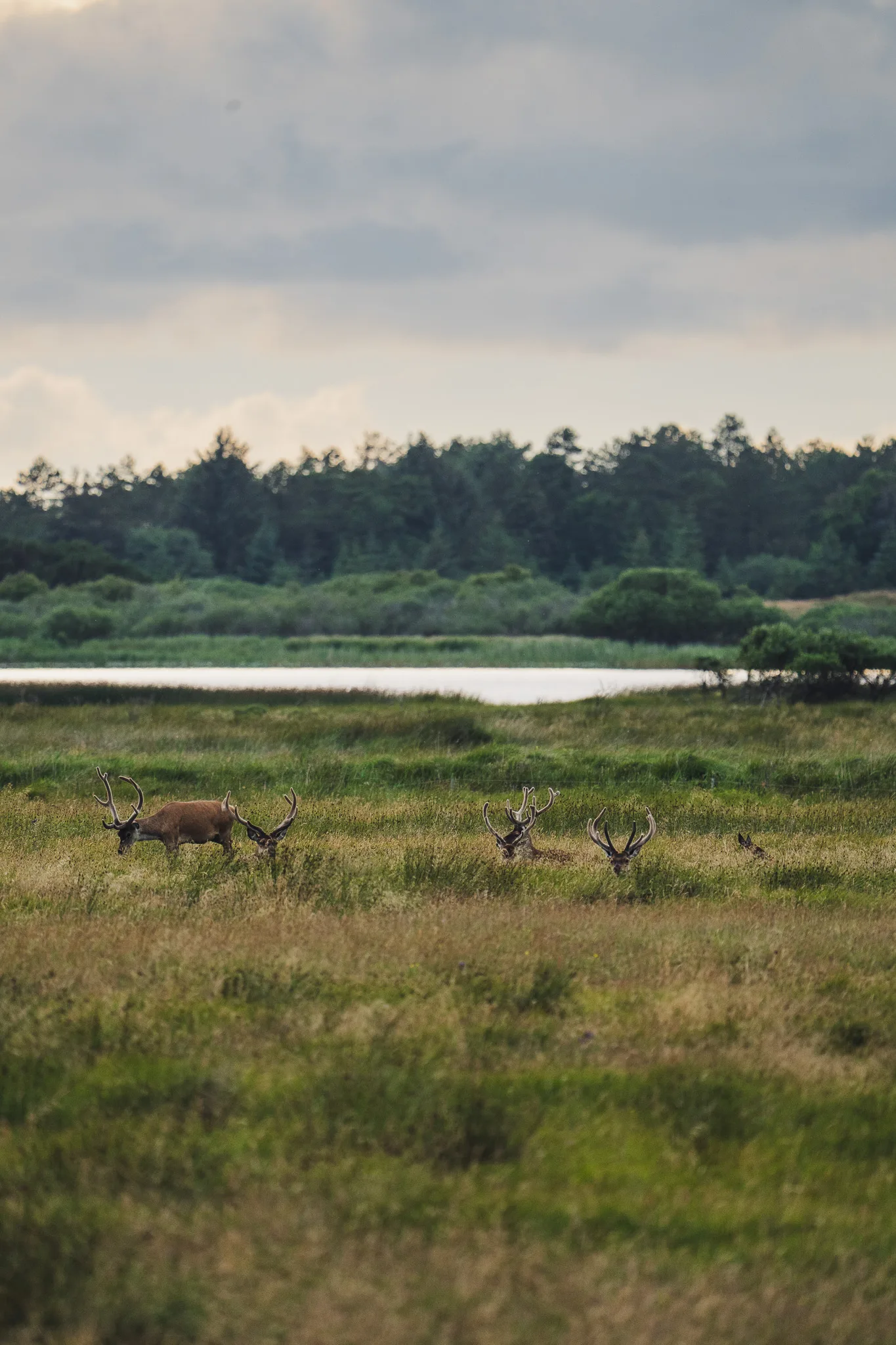 Denmark perspective