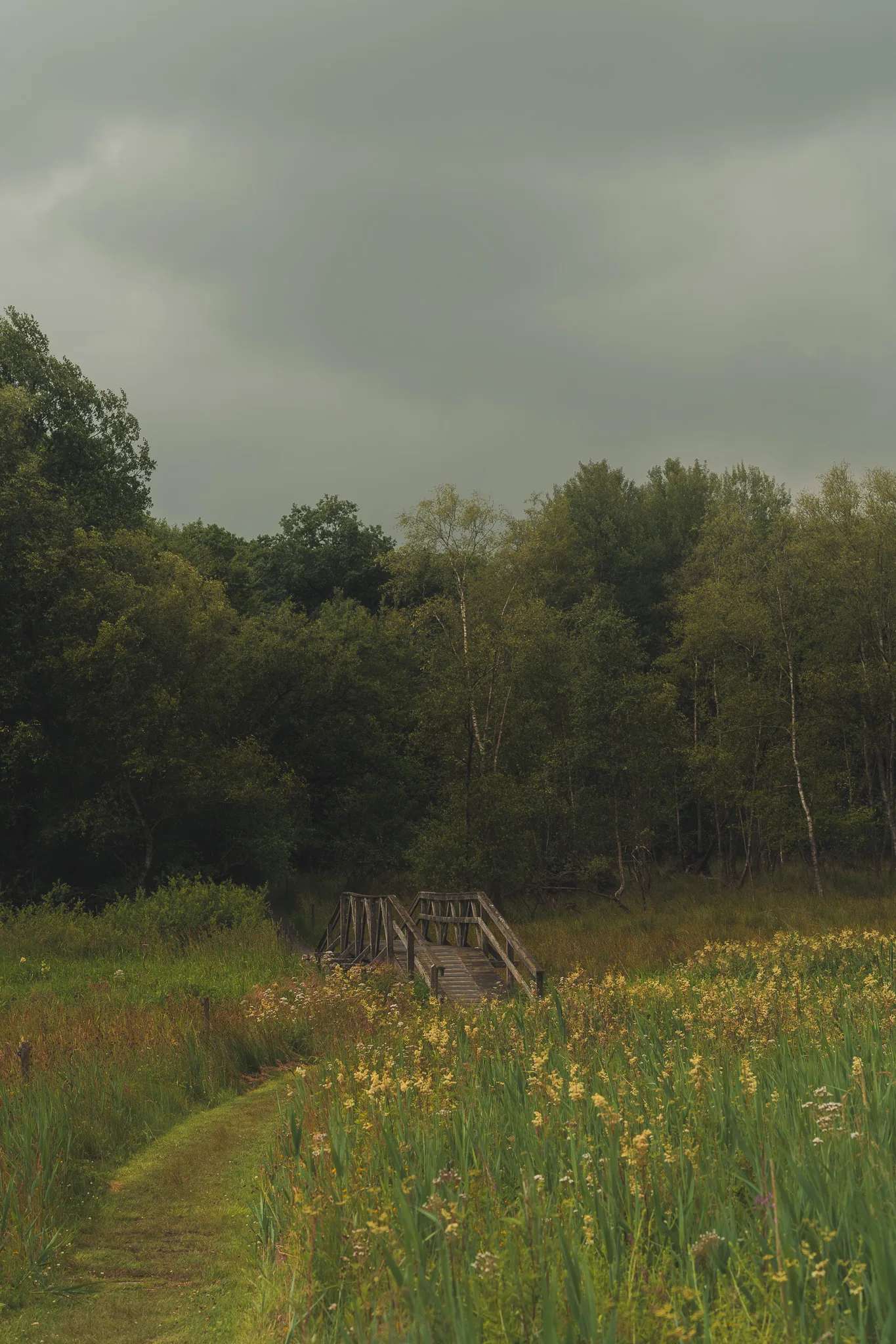 Denmark scene