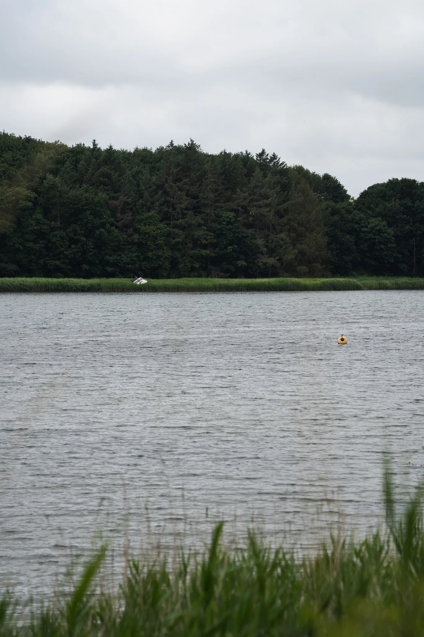 Denmark landscape
