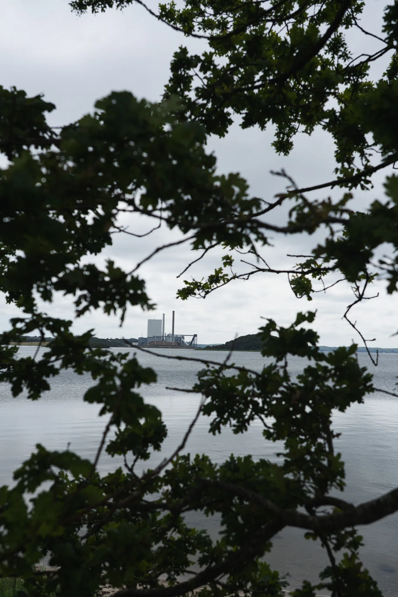 Denmark scene