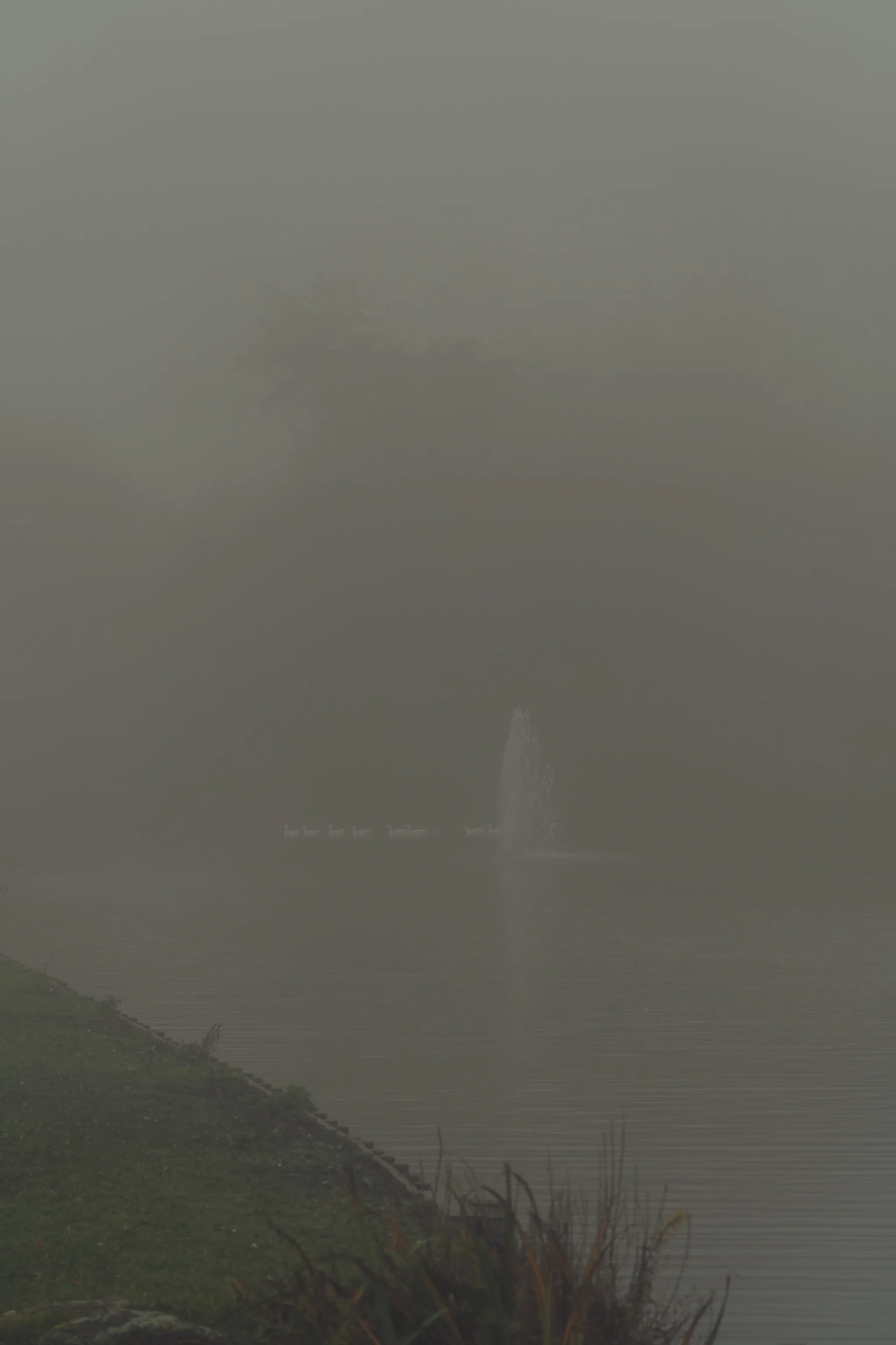 Foggy autumn morning