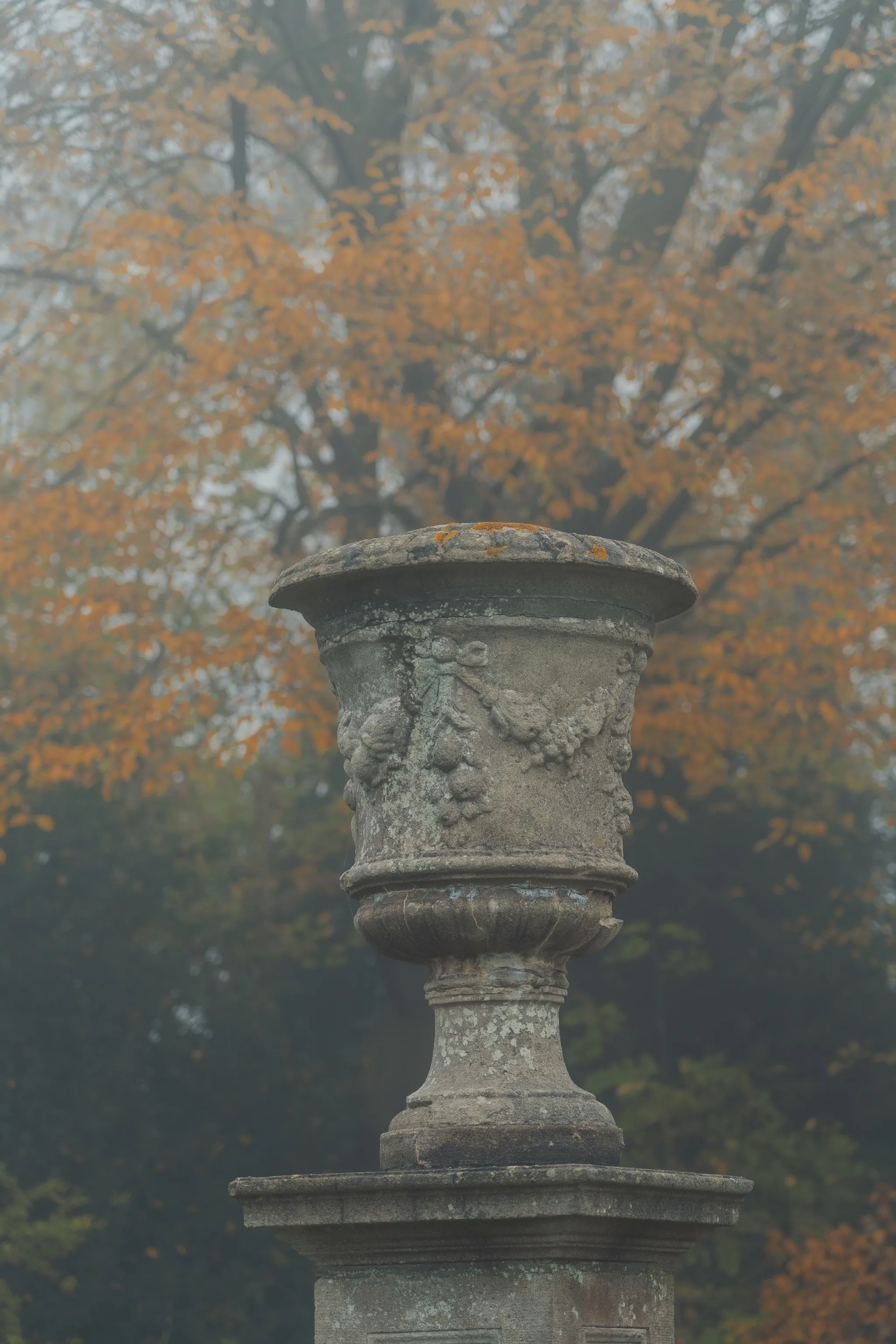 Foggy landscape