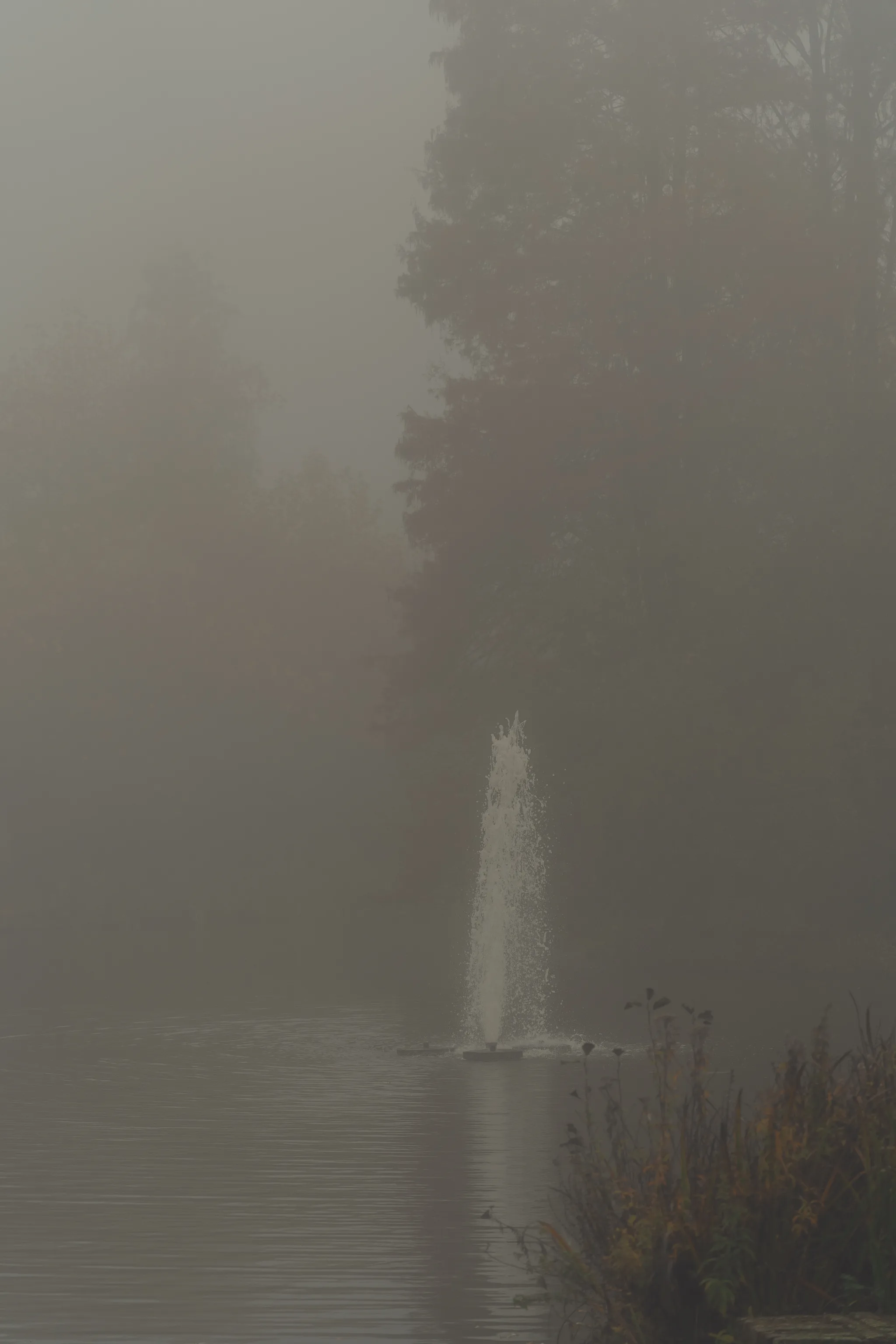Misty autumn view