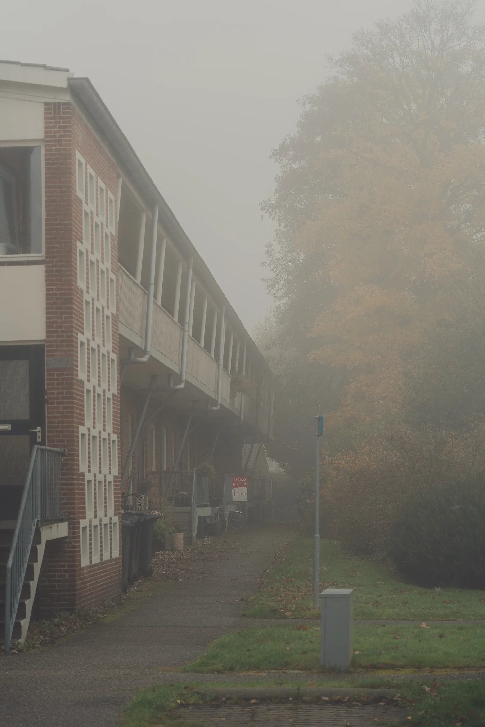 Autumn fog