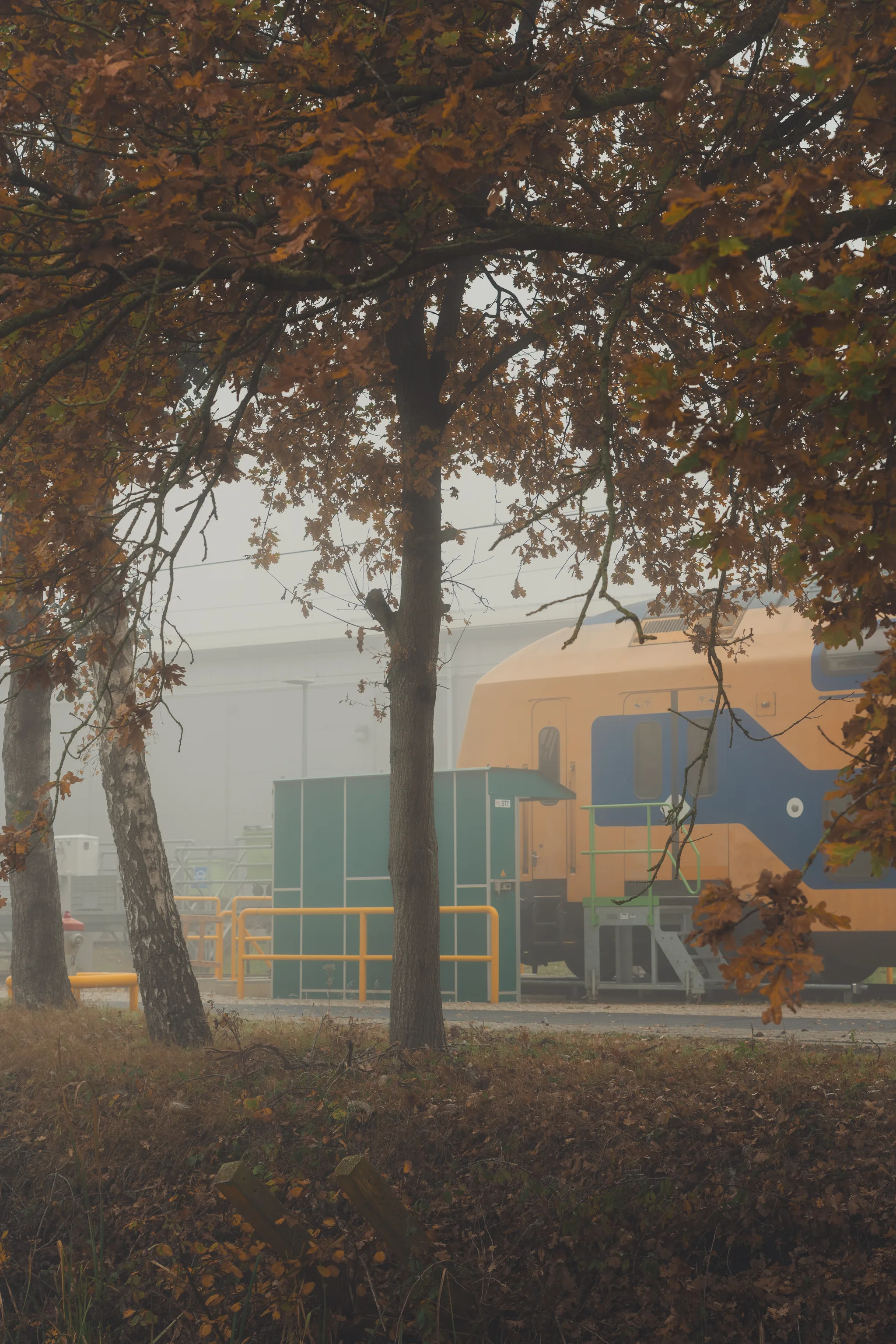 Autumn atmosphere